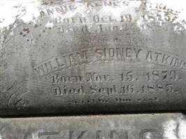 Annie Agnes Atkins