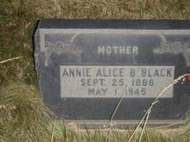 Annie Alice Baldwin Black