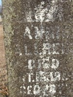 Annie Allred Annie Allred