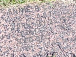 Annie B Grogan