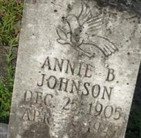 Annie B Johnson