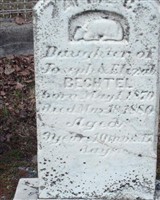 Annie C Bechtel