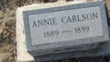 Annie Carlson Annie Carlson