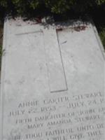 Annie Carter Stewart