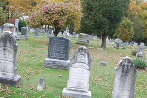 Annie Collins Rinehart