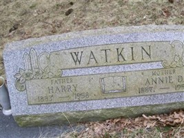 Annie D. Gibson Watkin Annie D. Gibson Watkin