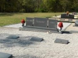 Annie Dee Sims Dillard
