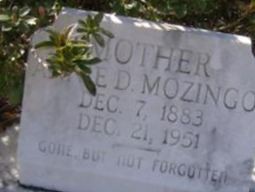 Annie Dunnam Mozingo Annie Dunnam Mozingo
