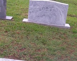 Annie Edgerton Godwin
