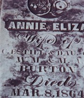 Annie Eliza Burton Estill
