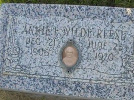 Annie Eliza Wilde Reese