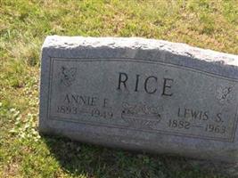 Annie Elizabeth Fultz Rice