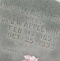 Annie Elizabeth Morgan Applewhite
