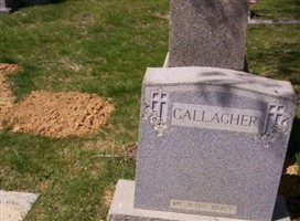 Annie Gallagher Annie Gallagher