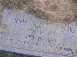Annie Gilbert Meeks