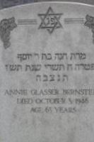 Annie Glasser Bernstein