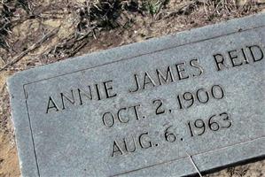 Annie James Reid