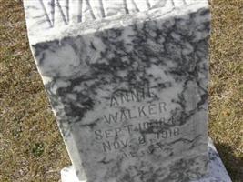 Annie Jeffords Walker