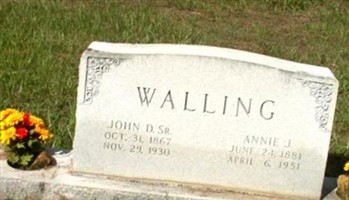 Annie Josephine Wolfe Walling Annie Josephine Wolfe Walling