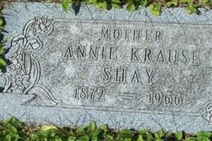Annie Krause Shay