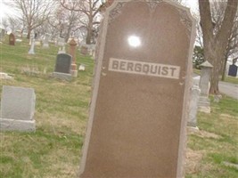 Annie L Bergquist