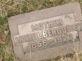 Annie L Bergquist