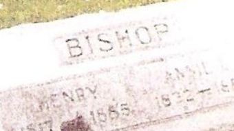 Annie L. Bishop