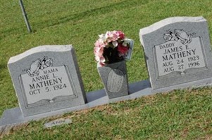 Annie L. Matheny