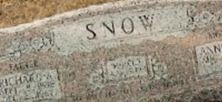 Annie Lee Taveler Snow