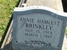 Annie Louise Hamlett Brinkley