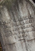 Annie M Brower