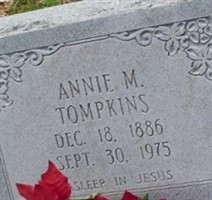 Annie M Tompkins