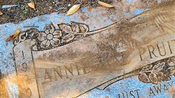 Annie Mae Pruitt