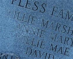 Annie Mary Pless