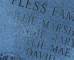Annie Mary Pless Annie Mary Pless
