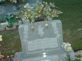 Annie Myrle Creamer
