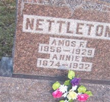 Annie Nettleton