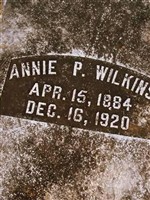 Annie P Johnston Wilkins