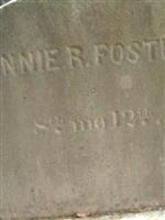Annie R. Foster