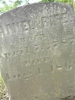Annie Rife