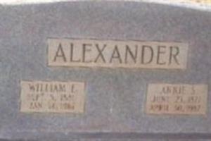 Annie S Alexander