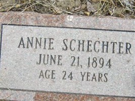 Annie Schechter Annie Schechter