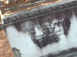 Annie Taylor Barnes