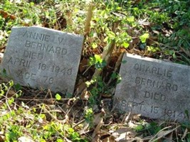 Annie V. Bernard Annie V. Bernard