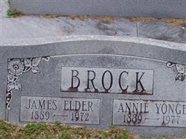 Annie Yonge Brock