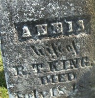 Annis King