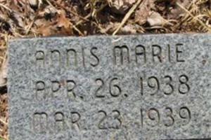 Annis Marie Taylor