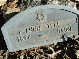 Annis Teal Annis Teal