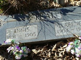Annis Teal Annis Teal