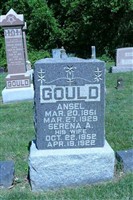 Ansel Gould